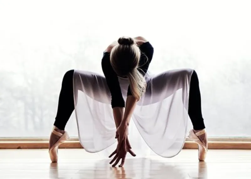 balletplakat_med_balletda_1.webp Dansebutikken Balletplakat med balletdanser på tå> Andet Til Ballet